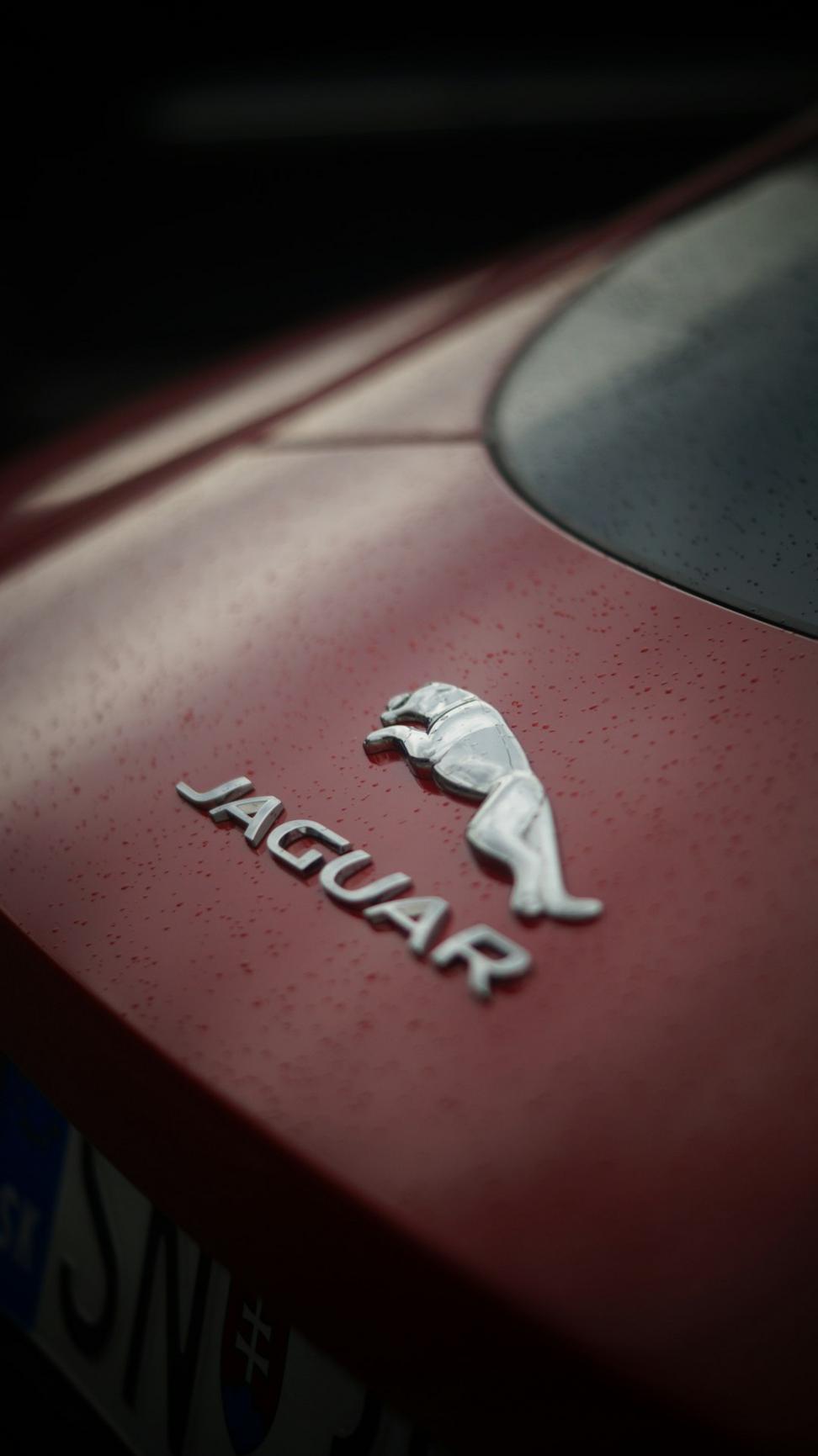 Jaguar